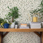 Romy Forest Springtime Trail Wallpaper