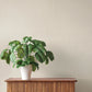 Ewan Bone Textured Stripe Wallpaper