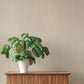 Ewan Beige Textured Stripe Wallpaper