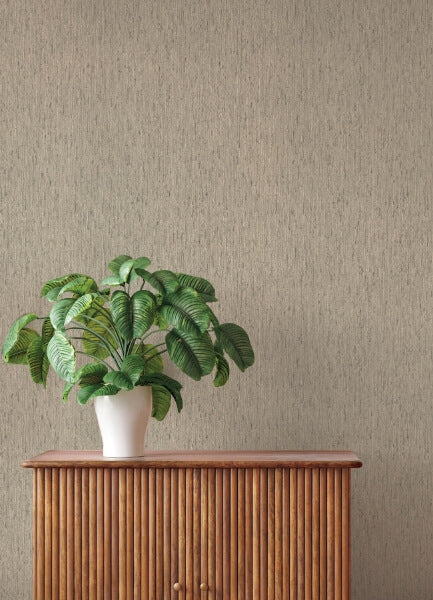Roison Dove Birch Bark Wallpaper
