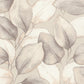 Evanthe Grey Vine Wallpaper