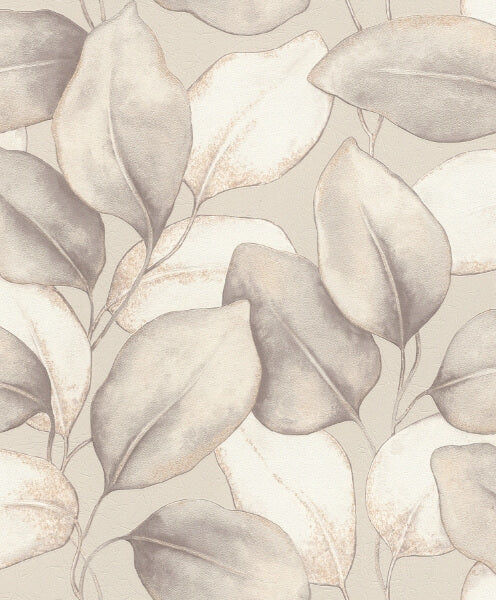 Evanthe Grey Vine Wallpaper