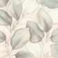 Evanthe Aqua Vine Wallpaper