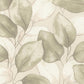 Evanthe Sage Vine Wallpaper