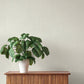 Oren Ivory Shimmering Striations Wallpaper