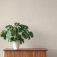 Oren Ash Shimmering Striations Wallpaper