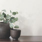 Aden White Linear Abstract Wallpaper