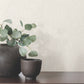 Aden Ivory Linear Abstract Wallpaper