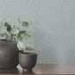 Aden Light Blue Linear Abstract Wallpaper