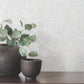 Aden Sea Green Linear Abstract Wallpaper
