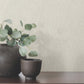Aden Beige Linear Abstract Wallpaper