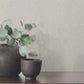 Aden Light Grey Linear Abstract Wallpaper