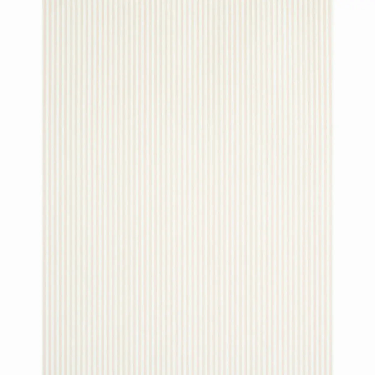 Edwin Stripe Narrow