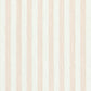 Edwin Stripe Narrow