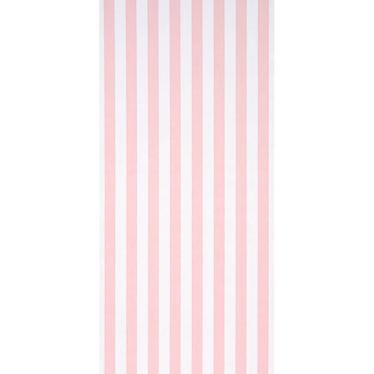 Louise Stripe - in Rose