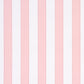 Louise Stripe - in Rose