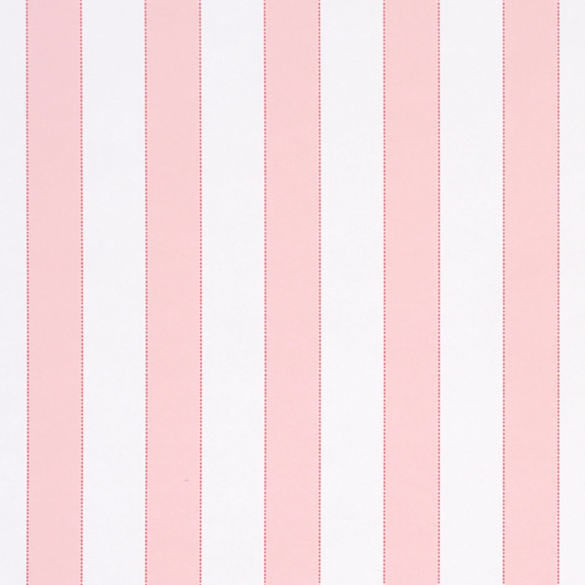 Louise Stripe - in Rose