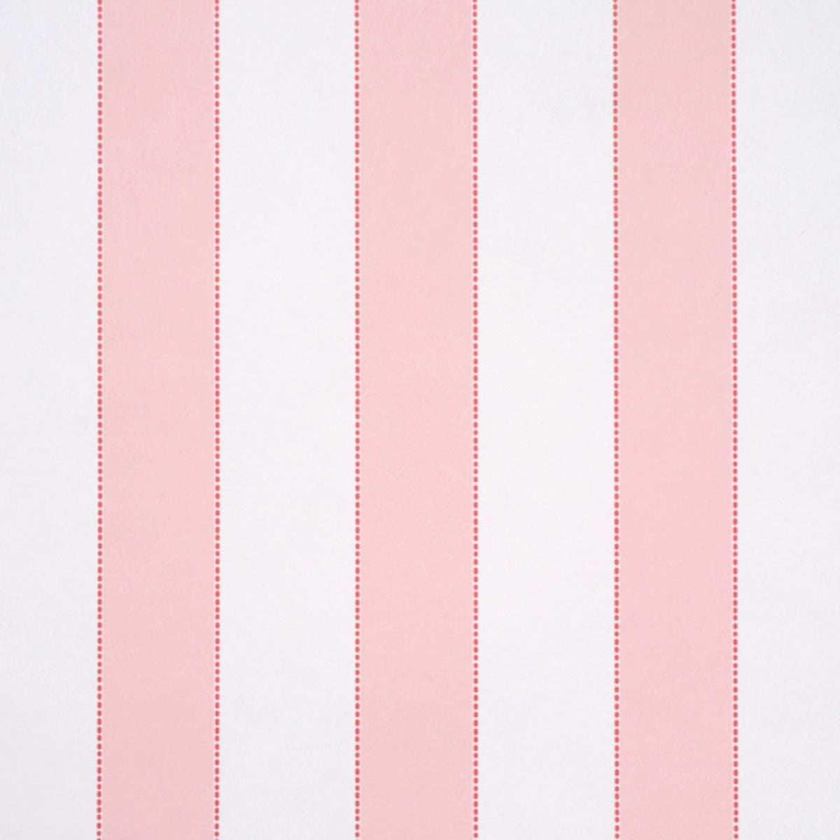 Louise Stripe - in Rose
