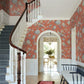 Fanciful Orange Wallpaper