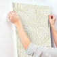 Fern Fronds Light Green & White Wallpaper
