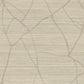 Raska Camel Wallpaper