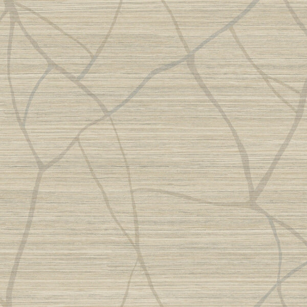 Raska Camel Wallpaper