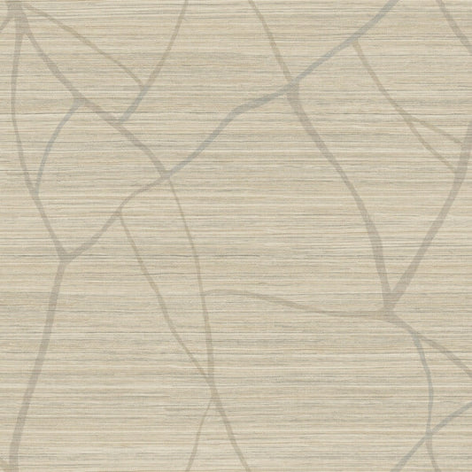 Raska Camel Wallpaper