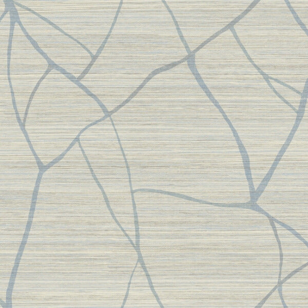 Raska Smokey Blue Wallpaper