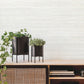 Fountain Grass Ivory Wallpaper