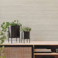Fountain Grass Taupe Wallpaper