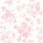 Everblooming Rosettes Pink Jam Cabbage Rose Bouquets Wallpaper