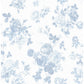 Everblooming Rosettes Dreamy Sky Cabbage Rose Bouquets Wallpaper