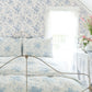 Everblooming Rosettes Dreamy Sky Cabbage Rose Bouquets Wallpaper