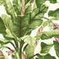 Banana Leaf Dark Brown & Pink Wallpaper