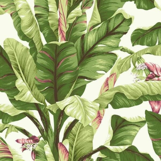 Banana Leaf Dark Brown & Pink Wallpaper