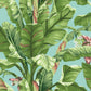 Banana Leaf Aqua & White Wallpaper