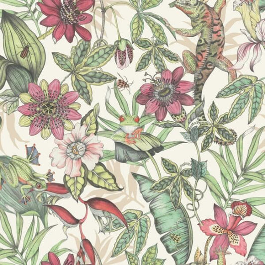 Rainforest Multicolor Wallpaper