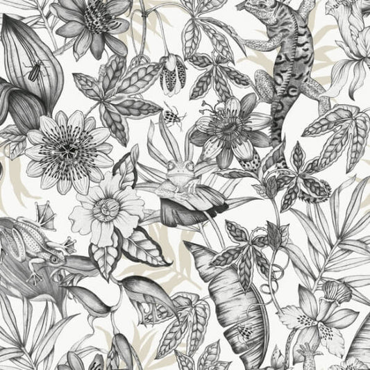 Rainforest White & Charcoal Wallpaper