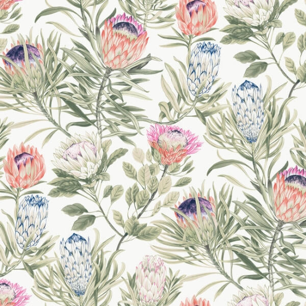 Protea White & Fuchsia Wallpaper