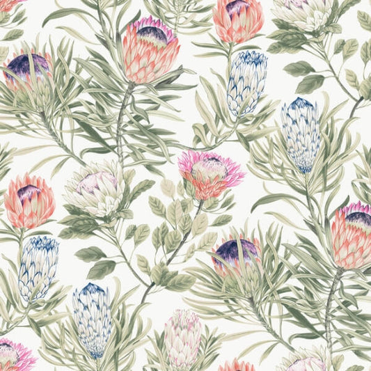 Protea White & Fuchsia Wallpaper