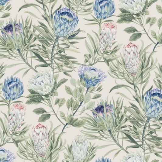 Protea Cream & Blue Wallpaper