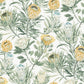 Protea White & Yellow Wallpaper