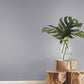 Makasa Sisal Grey Wallpaper