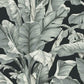 Banana Leaf Black & White Wallpaper