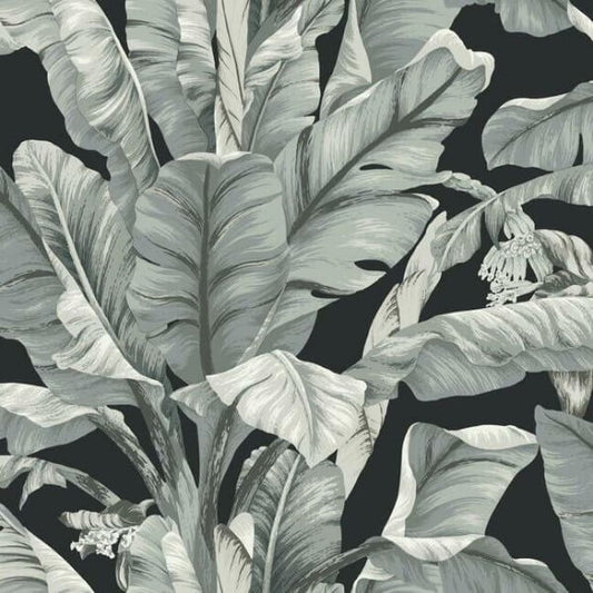 Banana Leaf Black & White Wallpaper