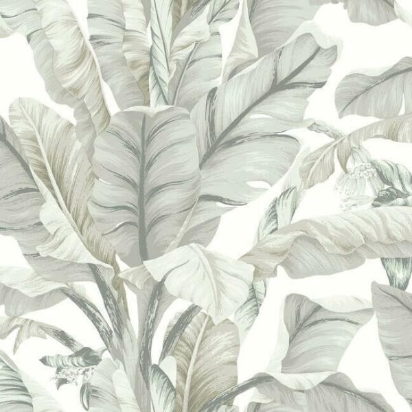 Banana Leaf White & Cream Wallpaper