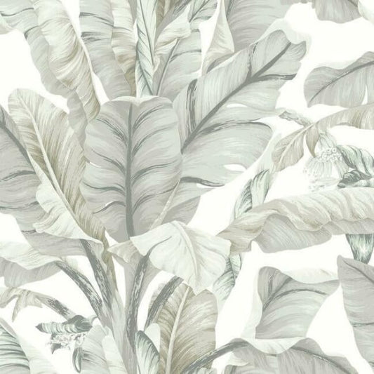 Banana Leaf White & Cream Wallpaper