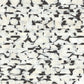 Capiz Offering Black & White Wallpaper