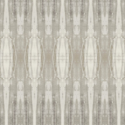 Escalante Fossil Wallpaper