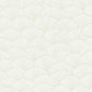 Luminous Ginkgo White & Cream Wallpaper